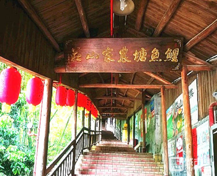 鯉魚(yú)塘農(nóng)家山莊
