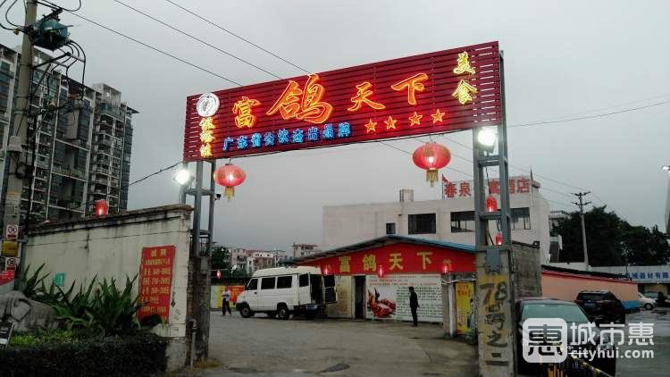 富鴿天下