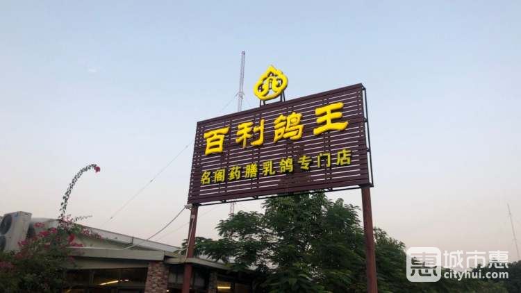 百利鴿王