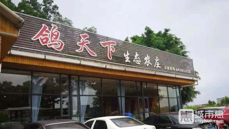 鴿天下