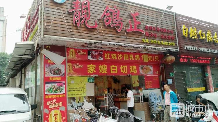 靚鴿正
