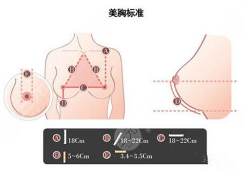 鄭州人民醫(yī)院擁有整形美容科基本信息