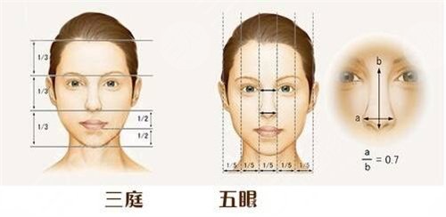 整形項(xiàng)目
