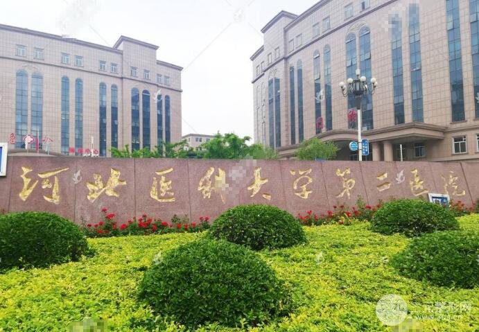 石家莊省二院美容科在哪里