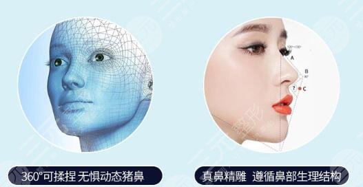 做鼻子整形的價(jià)格是多少