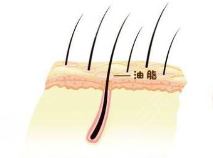 溫州藝星醫(yī)學美容醫(yī)院植發(fā)怎么樣